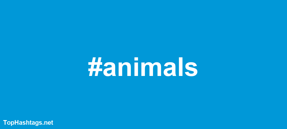 #animals Hashtags