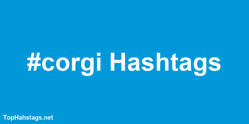 corgi Hashtags