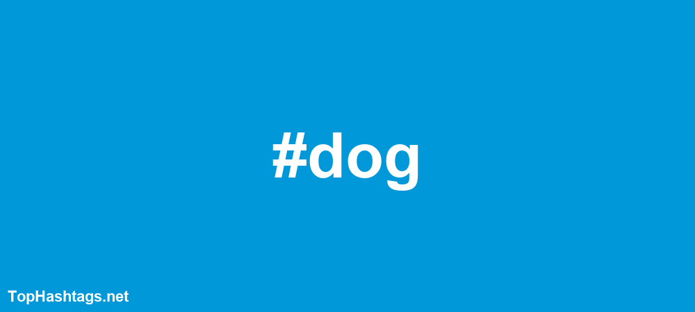 #dog Hashtags
