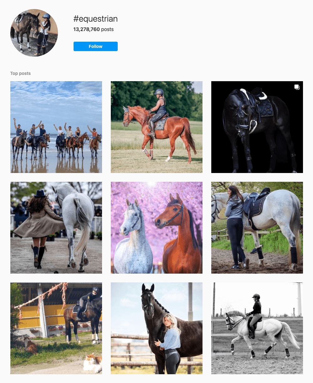 #equestrian Hashtags for Instagram