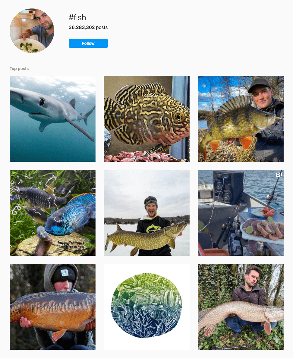 #fish Hashtags for Instagram