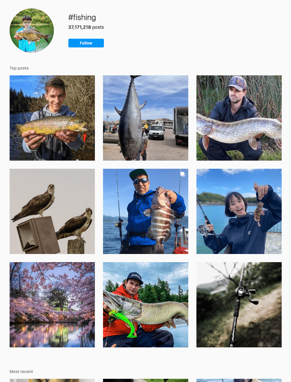 #fishing Hashtags for Instagram