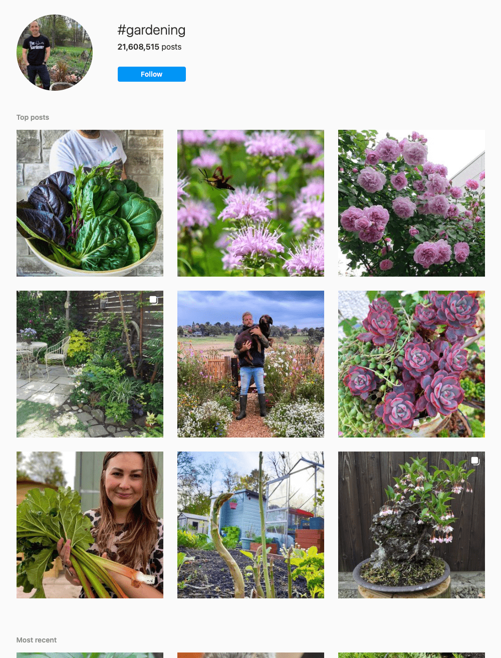 #gardening Hashtags for Instagram