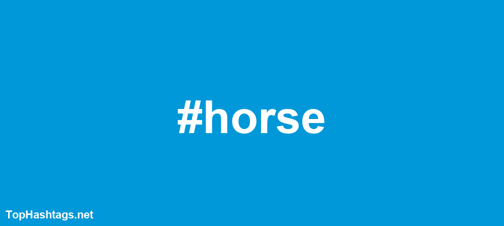 #horse Hashtags