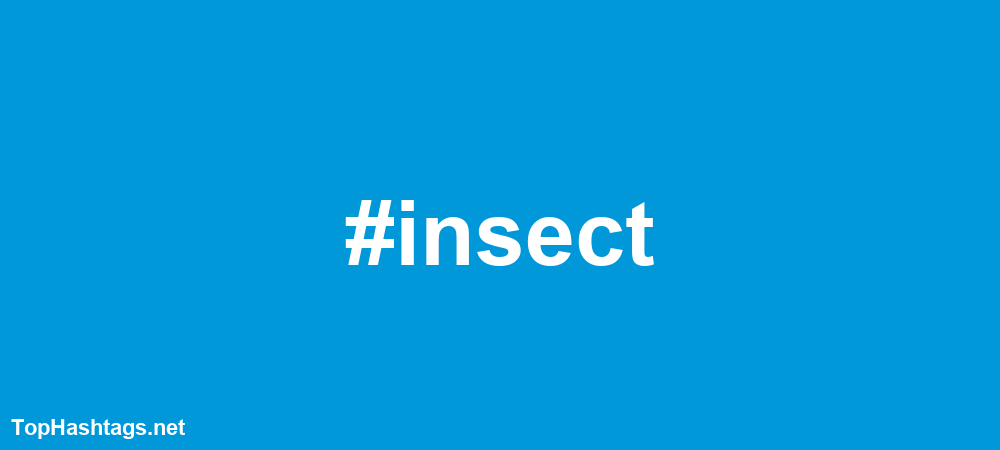 #insect Hashtags