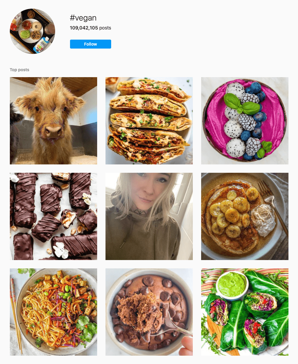 #vegan Hashtags for Instagram